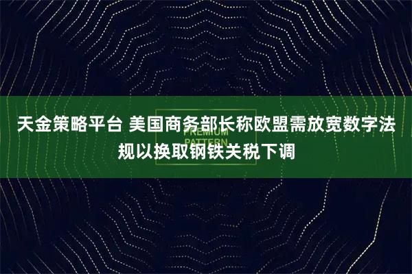 天金策略平台 美国商务部长称欧盟需放宽数字法规以换取钢铁关税下调